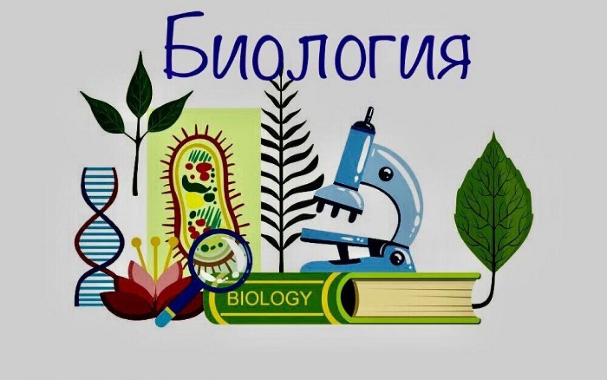 Занятие  &amp;quot;Почувствуй себя биохимиком. Лабораторная работа № 4 «Химический состав растений».